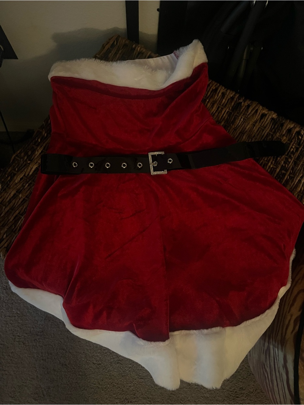 Santa dress